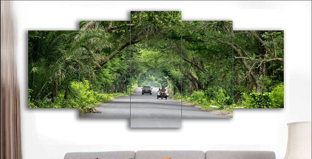 প্রিমিয়াম ১০ পিসের ২ সেট ক্যানভাস