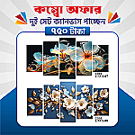 প্রিমিয়াম ২ সেট ক্যানভাস এখন ৩৮% ছাড়ে মাত্র ৭৫০ টাকায়! 🖼️