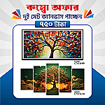 প্রিমিয়াম ২ সেট ক্যানভাস এখন ৩৮% ছাড়ে মাত্র ৭৫০ টাকায়! 🖼️