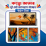 প্রিমিয়াম ২ সেট ক্যানভাস এখন ৩৮% ছাড়ে মাত্র ৭৫০ টাকায়! 🖼️