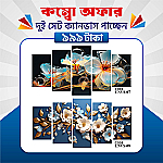 প্রিমিয়াম ১০ পিসের ২ সেট ক্যানভাস এখন ৩৩.৪% ছাড়ে মাত্র ৯৯৯ টাকায়! 🖼️
