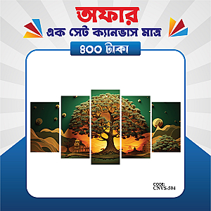 প্রিমিয়াম এক সেট ক্যানভাস এখন মাত্র ৪০০ টাকায়! 🖼️