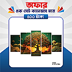 প্রিমিয়াম এক সেট ক্যানভাস এখন মাত্র ৪০০ টাকায়! 🖼️