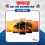 প্রিমিয়াম এক সেট ক্যানভাস এখন মাত্র ৪০০ টাকায়! 🖼️