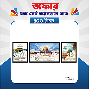 প্রিমিয়াম এক সেট ক্যানভাস এখন মাত্র ৪০০ টাকায়! 🖼️