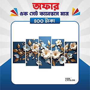 প্রিমিয়াম এক সেট ক্যানভাস এখন মাত্র ৪০০ টাকায়! 🖼️