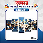 প্রিমিয়াম এক সেট ক্যানভাস এখন মাত্র ৪০০ টাকায়! 🖼️