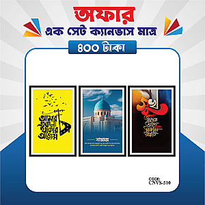 প্রিমিয়াম এক সেট ক্যানভাস এখন মাত্র ৪০০ টাকায়! 🖼️