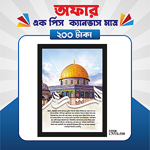 প্রিমিয়াম এক পিস ক্যানভাস  মাত্র ২০০ টাকায়! 🖼️