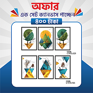 প্রিমিয়াম এক সেট ক্যানভাস এখন মাত্র ৪০০ টাকায়! 🖼️