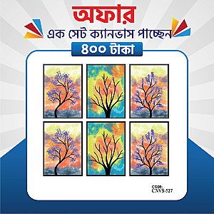 প্রিমিয়াম এক সেট ক্যানভাস এখন মাত্র ৪০০ টাকায়! 🖼️