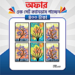 প্রিমিয়াম এক সেট ক্যানভাস এখন মাত্র ৪০০ টাকায়! 🖼️