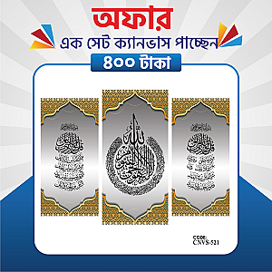 প্রিমিয়াম এক সেট ক্যানভাস এখন মাত্র ৪০০ টাকায়! 🖼️